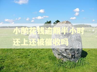 小鹅花钱逾期半小时还上还被催收吗