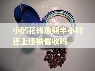 小鹅花钱逾期半小时还上还被催收吗