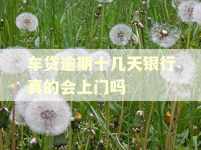 车贷逾期十几天银行真的会上门吗