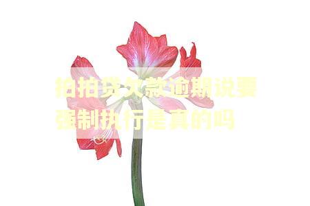 拍拍贷欠款逾期说要强制执行是真的吗