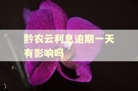 黔农云利息逾期一天有影响吗 黔农云利息逾期一天有影响吗