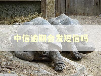 中信逾期会发短信吗