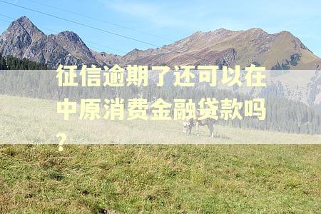 征信逾期了还可以在中原消费金融贷款吗?