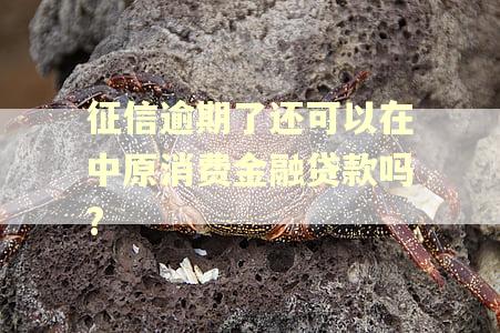 征信逾期了还可以在中原消费金融贷款吗?