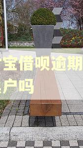 支付宝借呗逾期一年是黑户吗