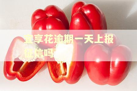 宜享花逾期一天上报征信吗 宜享花逾期一天上报征信吗