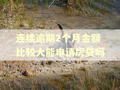 连续逾期2个月金额比较大能申请房贷吗