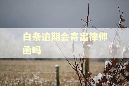 白条逾期会寄出律师函吗 白条逾期会寄出律师函吗
