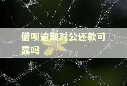 借呗逾期对公还款可靠吗