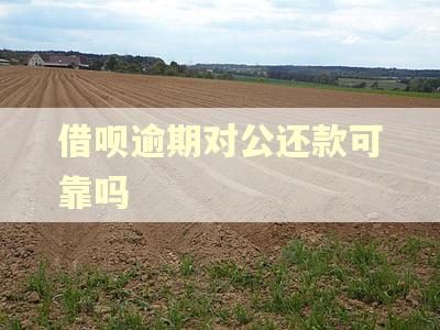 借呗逾期对公还款可靠吗