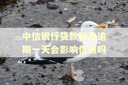 中信银行贷款利息逾期一天会影响信用吗