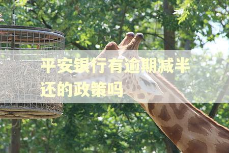 平安银行有逾期减半还的政策吗