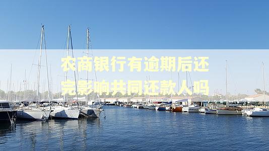 农商银行有逾期后还完影响共同还款人吗