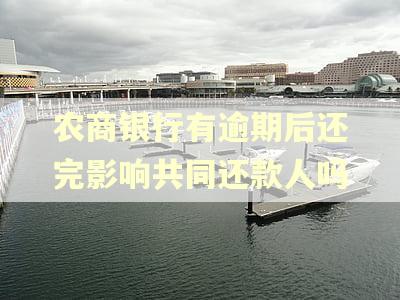 农商银行有逾期后还完影响共同还款人吗