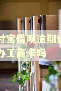 支付宝借呗逾期还能去办工商卡吗
