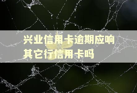 兴业信用卡逾期应响其它行信用卡吗