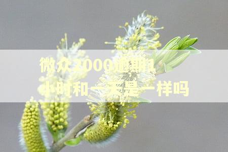 微众2000逾期1小时和一天是一样吗