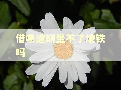 借呗逾期坐不了地铁吗