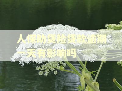 人保助贷险贷款逾期一天有影响吗