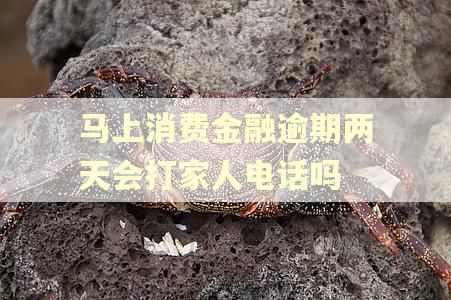 马上消费金融逾期两天会打家人电话吗