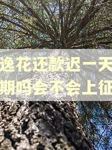 安逸花还款迟一天算逾期吗会不会上征信