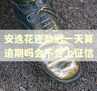 安逸花还款迟一天算逾期吗会不会上征信