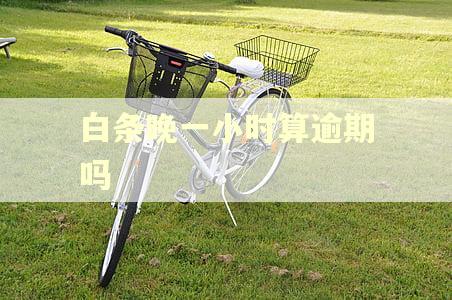 白条晚一小时算逾期吗