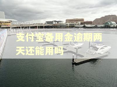 支付宝备用金逾期两天还能用吗