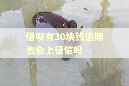 借呗有30块钱逾期也会上征信吗