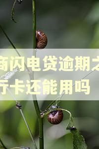 招商闪电贷逾期之后银行卡还能用吗