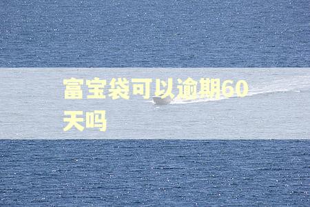 富宝袋可以逾期60天吗