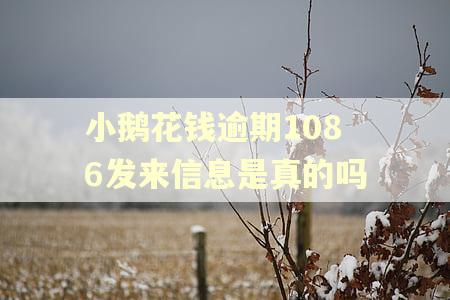 小鹅花钱逾期1086发来信息是真的吗