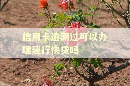 信用卡逾期过可以办理建行快贷吗 信用卡逾期过可以办理建行快贷吗
