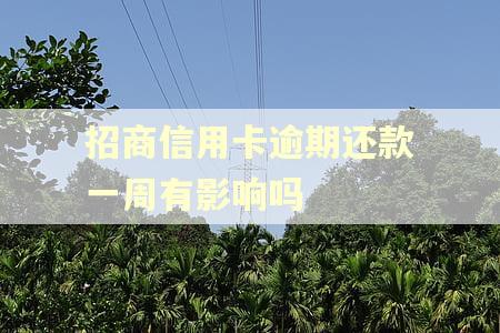 招商信用卡逾期还款一周有影响吗