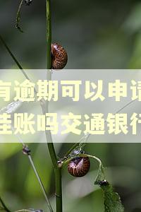 没有逾期可以申请停息挂账吗交通银行