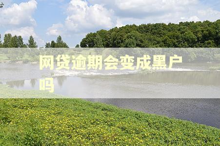 网贷逾期会变成黑户吗