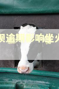 借呗逾期影响坐火车吗 借呗逾期影响坐火车吗