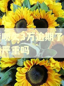 借呗欠3万逾期了半年严重吗
