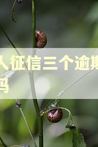 个人征信三个逾期严重吗