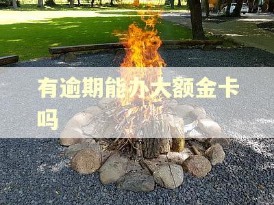 有逾期能办大额金卡吗