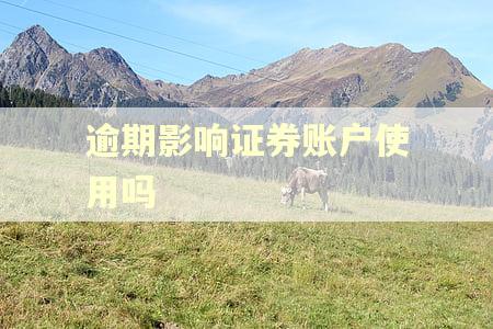 逾期影响证券账户使用吗