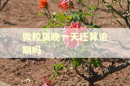 微粒贷晚一天还算逾期吗