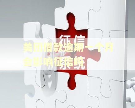 美团借款逾期一个月会影响征信吗