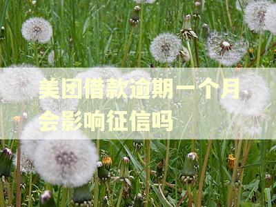 美团借款逾期一个月会影响征信吗