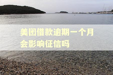 美团借款逾期一个月会影响征信吗 美团借款逾期一个月会影响征信吗