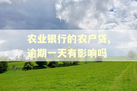 农业银行的农户贷,逾期一天有影响吗