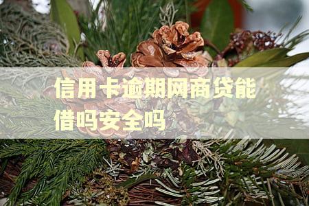 信用卡逾期网商贷能借吗安全吗