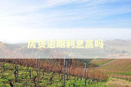 房贷逾期利息高吗