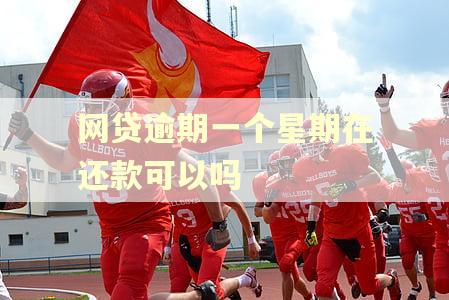 网贷逾期一个星期在还款可以吗