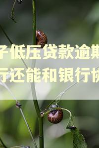 房子低压贷款逾期被执行还能和银行协商吗